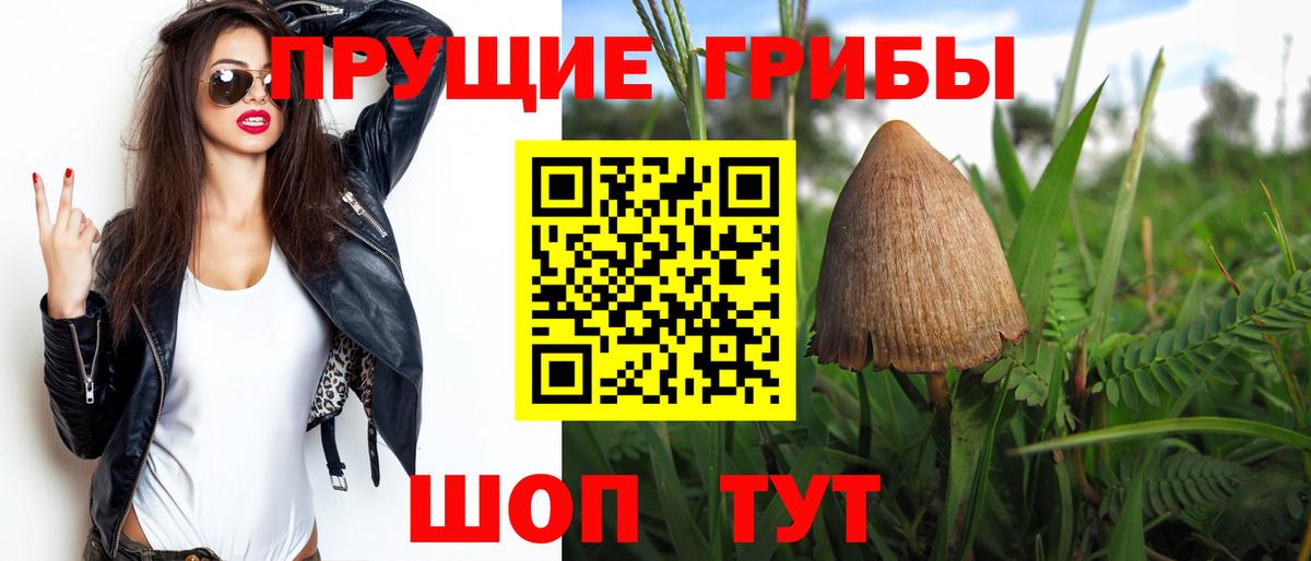 Галлюциногенные грибы мухоморы  купить   Соликамск  Вход с VPN 